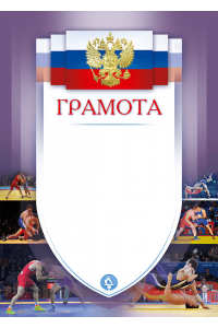 1030-222 Грамота с тиснением фольгой Борьба