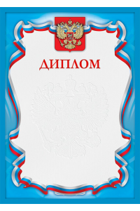 1040-014 Диплом с тиснением фольгой