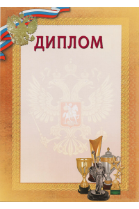 1040-028 Диплом с тиснением фольгой