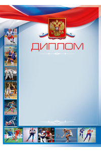 1040-074 Диплом с тиснением фольгой