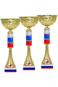 5260-380-101 Кубок Капитон 1-е место