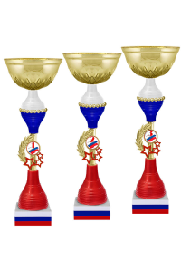 4111-310-132 Кубок 1-е место 4111-310-132 Кубок 1-е место