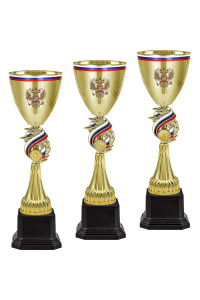 8112-390-101 Кубок 1-е место 8112-390-101 Кубок 1-е место