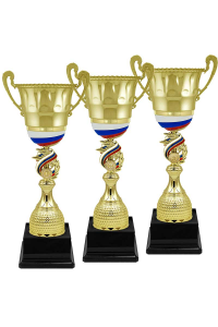 4476-500-101 Кубок 1-е место 4476-500-101 Кубок 1-е место
