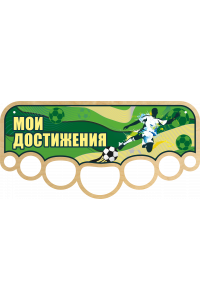 Медальница "Мои достижения" Медальница "Мои достижения"