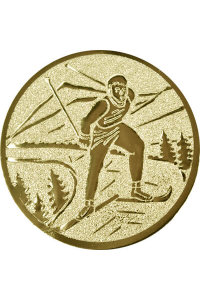 1139-025-101 Эмблема лыжный спорт 25 мм 1139-025-101 Эмблема лыжный спорт 25 мм