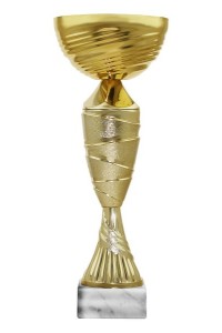 Кубок 03-256 высота 25 см