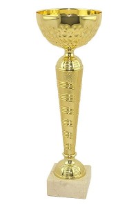 Кубок 03-313 высота 24,5 см