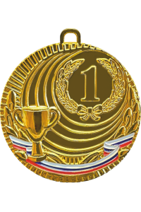 Медаль "Дон" 50 мм триколор, 1 место
