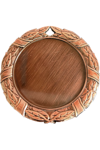 Медаль "Дунай" 70 мм, бронза