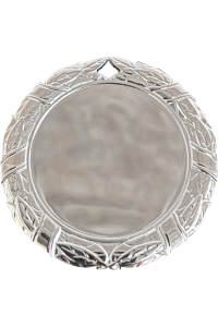 Медаль "Дунай" 70 мм, серебро