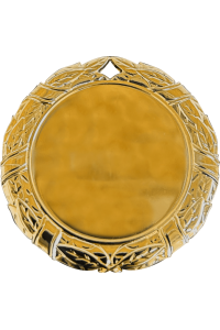 Медаль "Дунай" 70 мм, золото