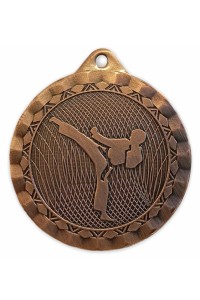 Медаль LD143 (Карате) бронза