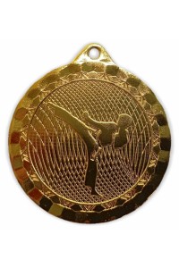 Медаль LD143 (Карате) золото