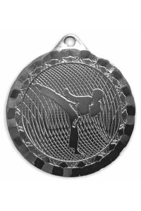 Медаль LD143 (Карате) серебро