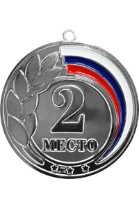 Медаль "Тобол" 70мм, 2 место