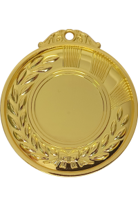 Медаль "Волга" 50 мм, золото